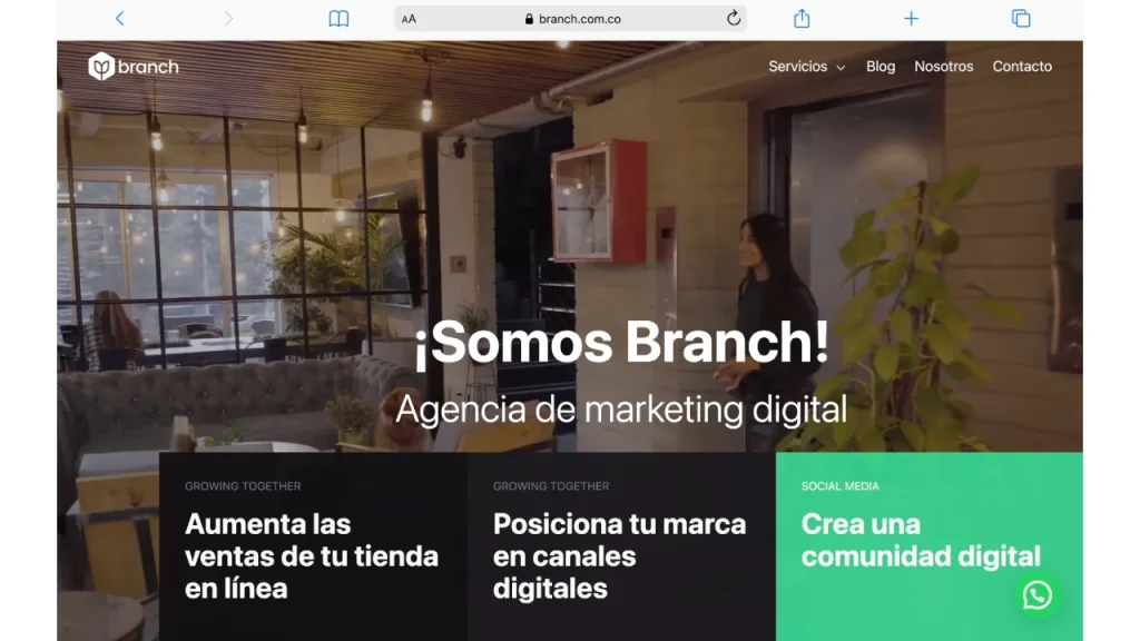 Mejores agencias de marketing digital en Cali 3 Mjores agencias branch agencia